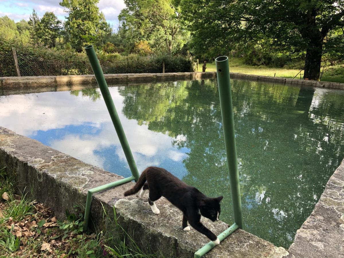 Quinta Das Uchas Appartement São Pedro do Sul Buitenkant foto